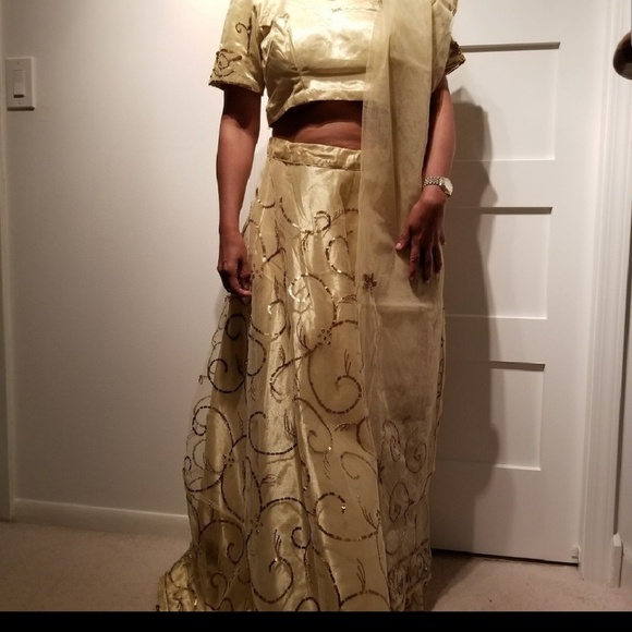 Indian lehenga - Picture 1 of 6